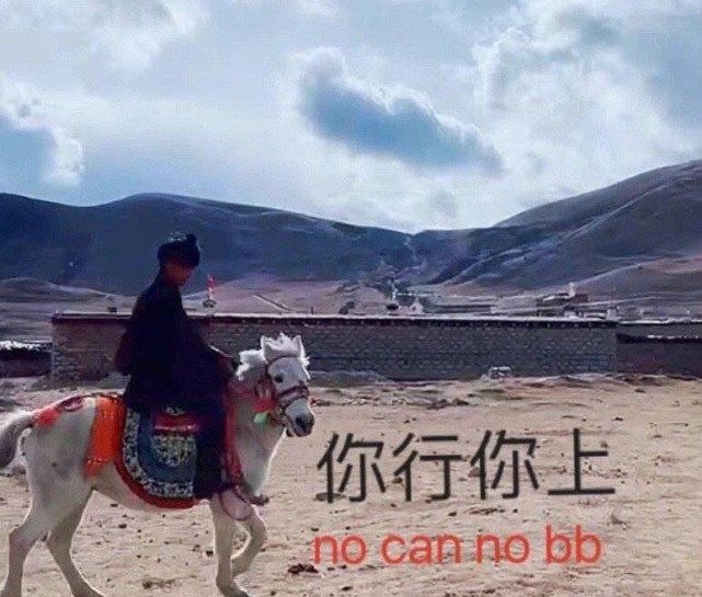 《抖音》丁真表情包分享