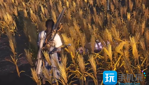 燕云十六声丰禾村蹊跷收集攻略
