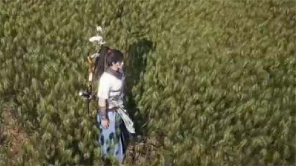 燕云十六声开封大轻功怎么获得