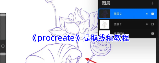 《procreate》线稿提取教程